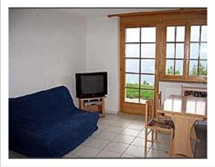 Selika Apartment Leuk